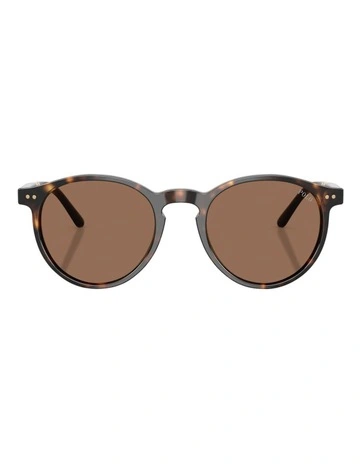 Acetate Sunglasses in Tortoise