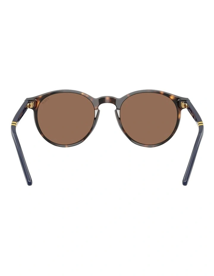 Acetate Sunglasses in Tortoise image 4