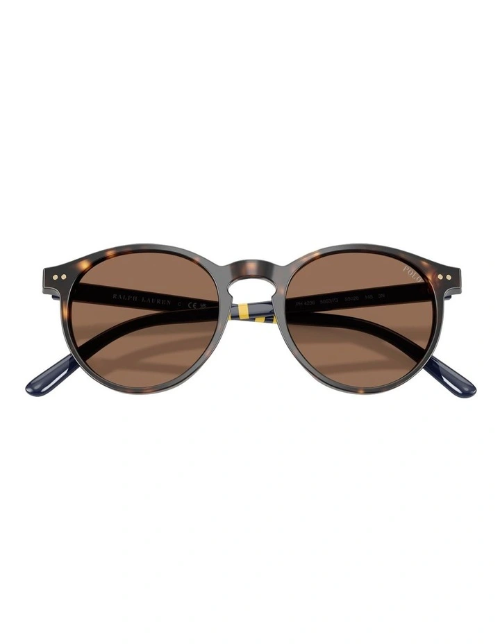 Acetate Sunglasses in Tortoise image 5