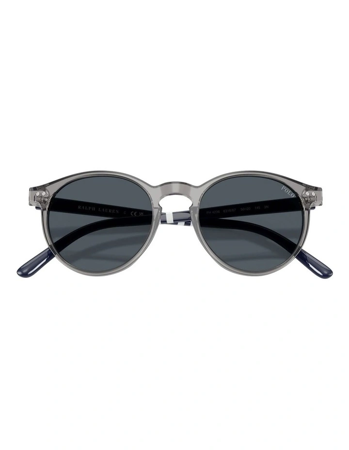 Acetate Sunglasses in Grey image 5