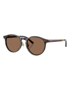 Acetate Sunglasses in Tortoise
