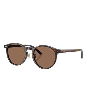 Acetate Sunglasses in Tortoise