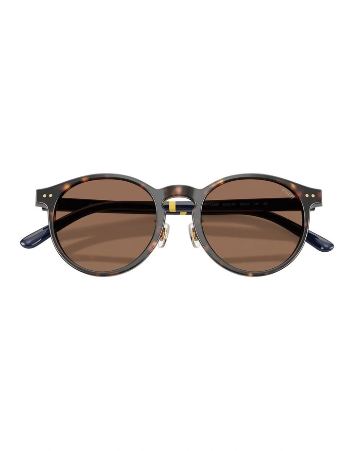 Acetate Sunglasses in Tortoise image 5