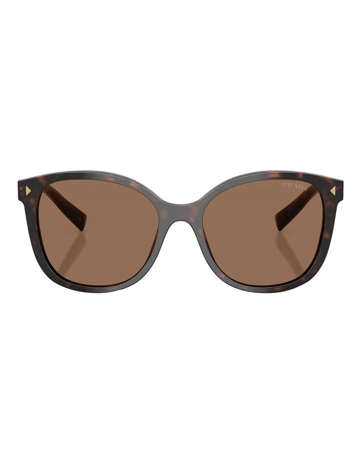 Acetate Sunglasses in Tortoise image 2