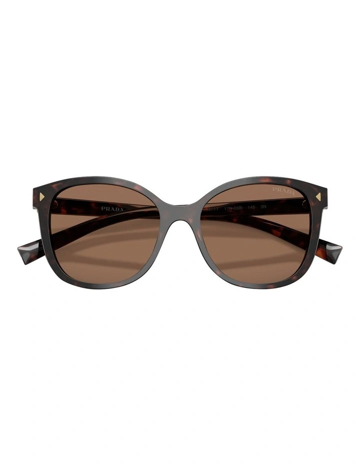 Acetate Sunglasses in Tortoise image 4