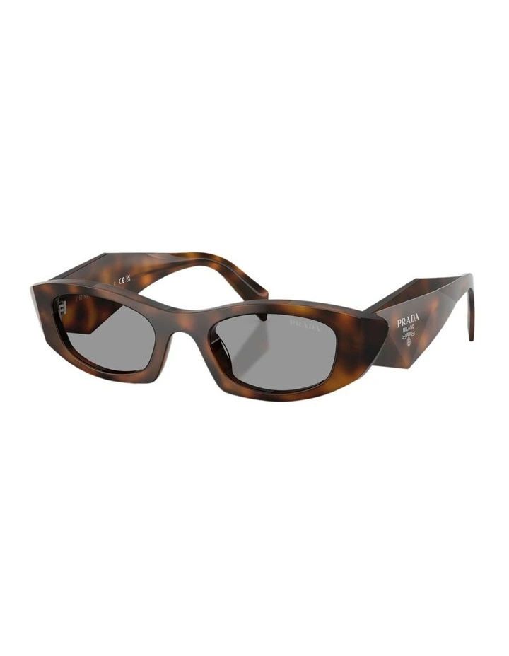 Acetate Sunglasses in Tortoise image 1