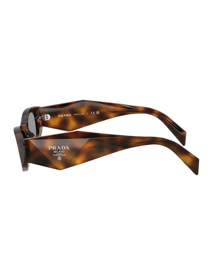 Acetate Sunglasses in Tortoise image 3
