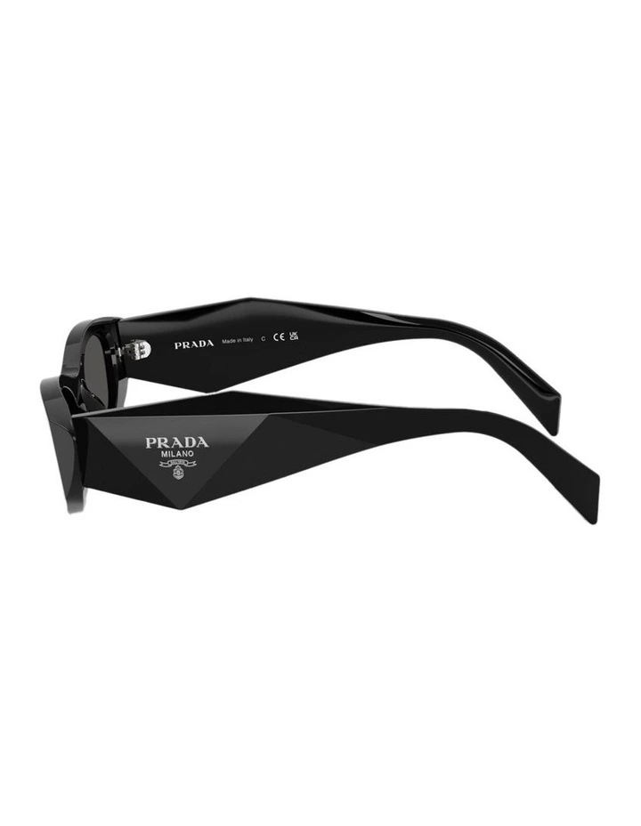 Acetate Sunglasses in Black image 2