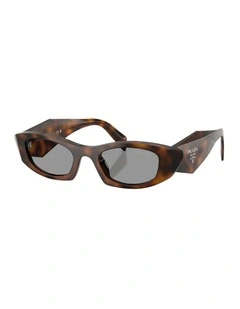 Acetate Sunglasses in Tortoise