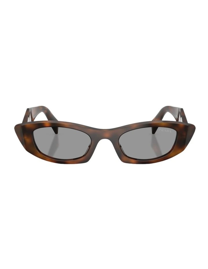 Acetate Sunglasses in Tortoise image 2