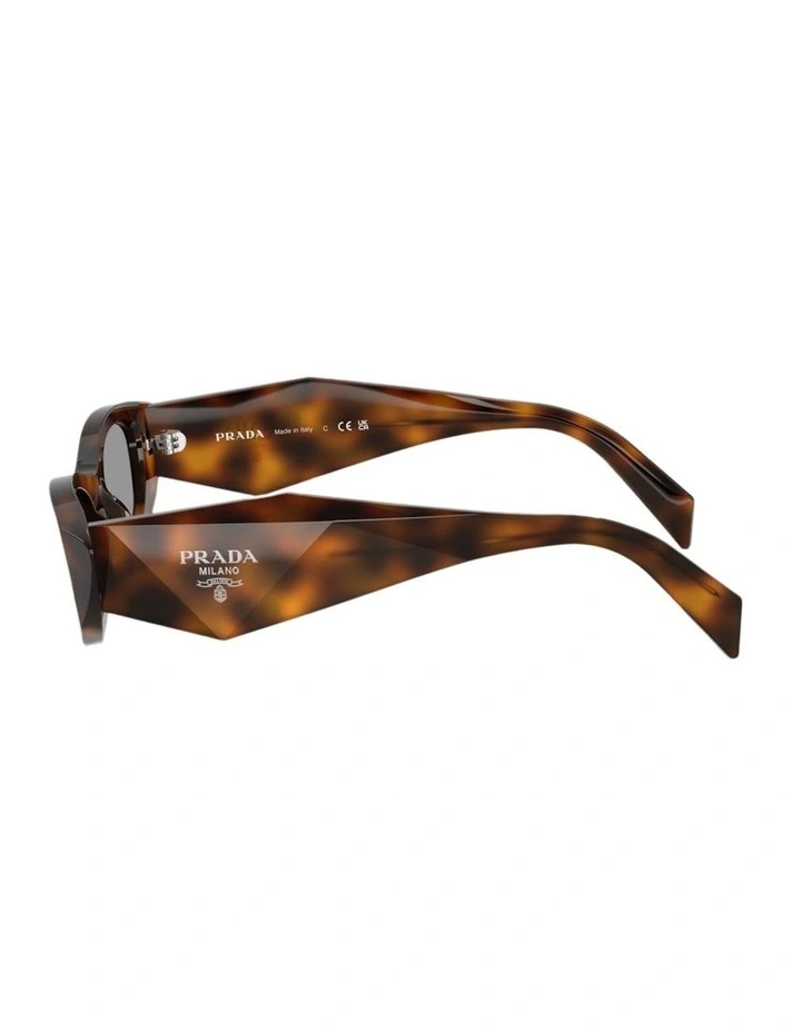 Acetate Sunglasses in Tortoise image 3