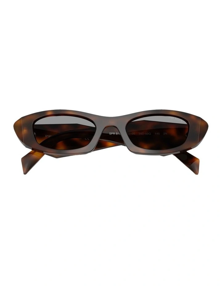Acetate Sunglasses in Tortoise image 4