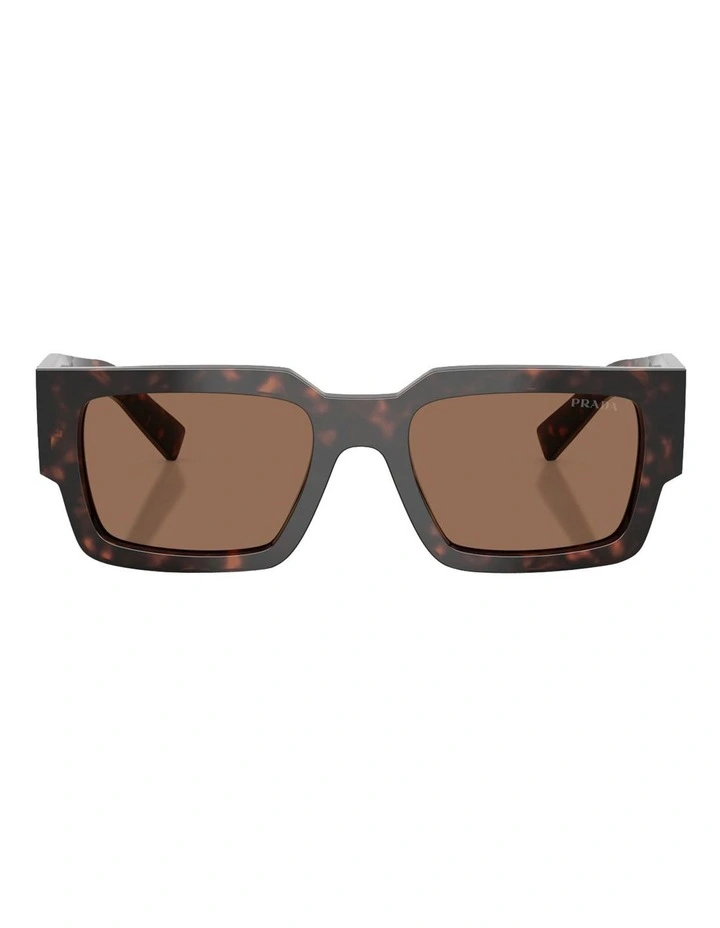 Acetate Sunglasses in Tortoise image 2