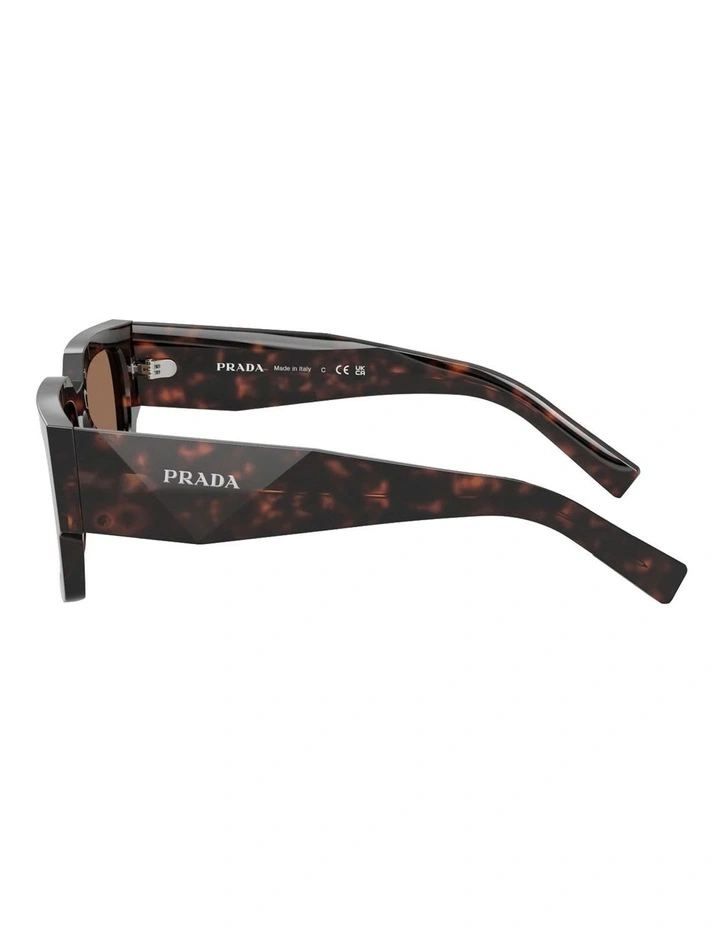 Acetate Sunglasses in Tortoise image 3