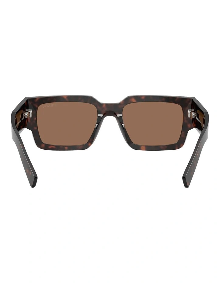 Acetate Sunglasses in Tortoise image 4