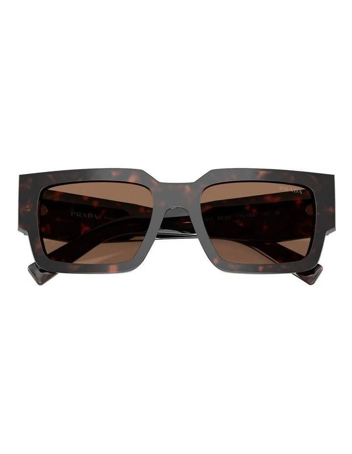 Acetate Sunglasses in Tortoise image 5