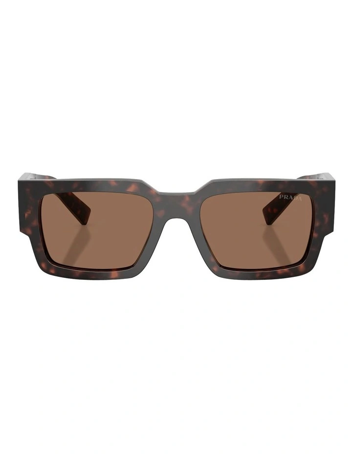 Acetate Sunglasses in Tortoise image 2