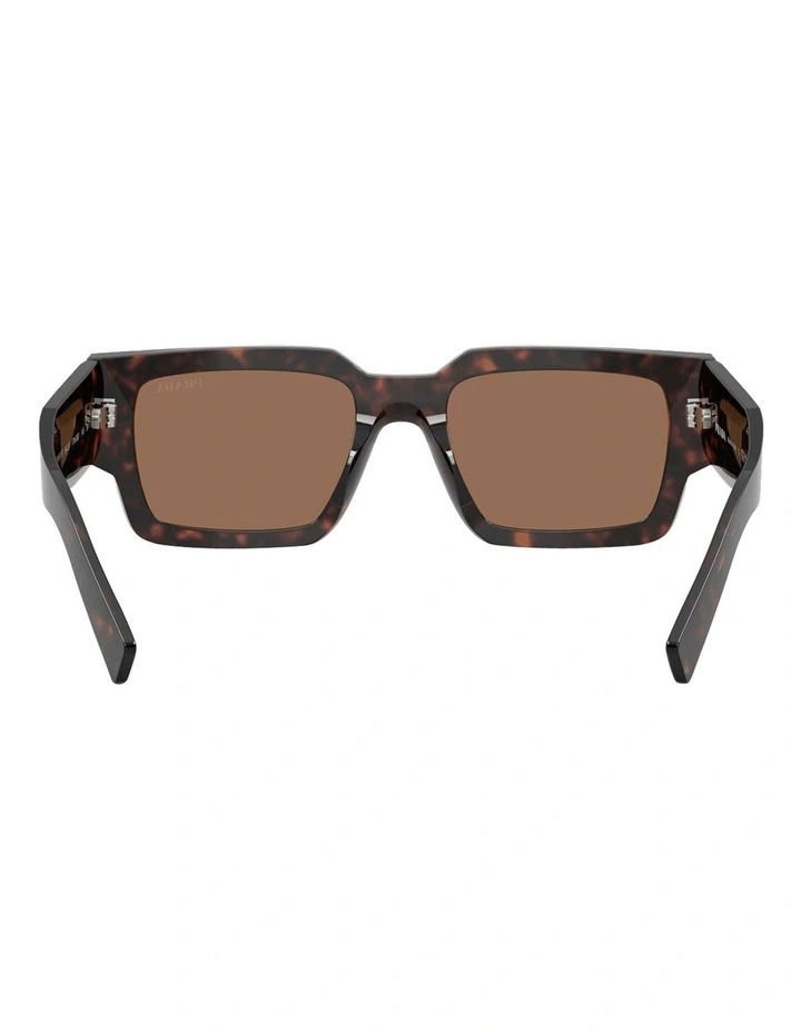 Acetate Sunglasses in Tortoise image 4