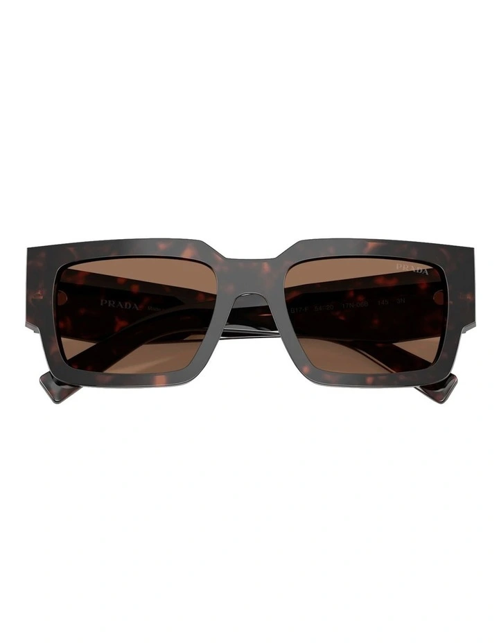 Acetate Sunglasses in Tortoise image 5
