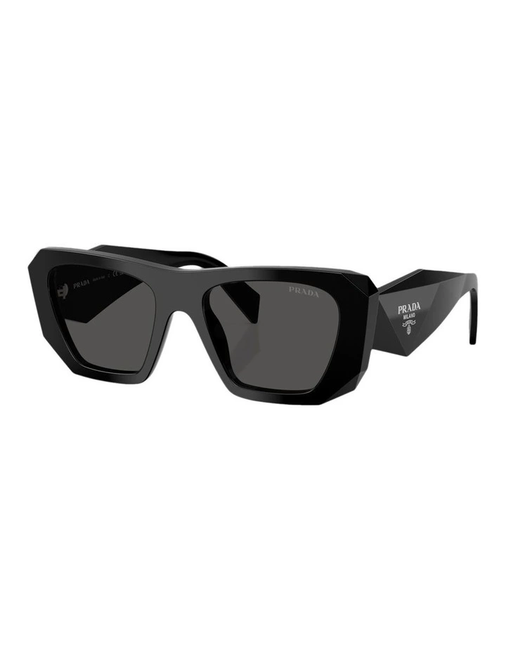 Acetate Sunglasses in Black image 1