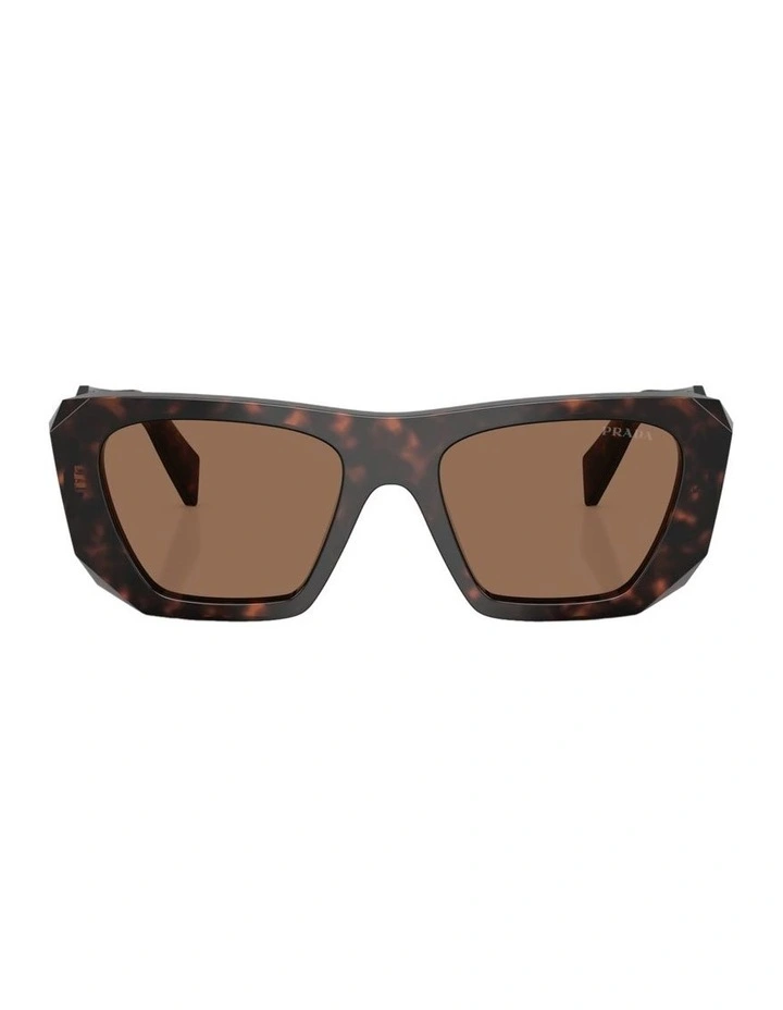 Acetate Sunglasses in Tortoise image 2