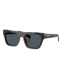 Acetate Sunglasses in Tortoise