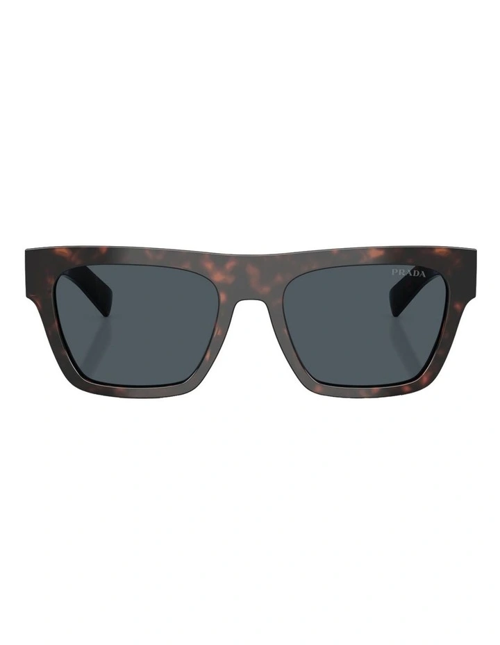 Acetate Sunglasses in Tortoise image 2