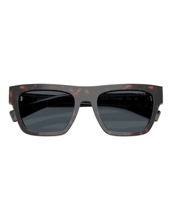Acetate Sunglasses in Tortoise image 4