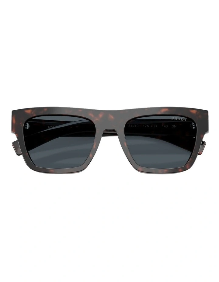 Acetate Sunglasses in Tortoise image 5