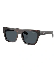 Acetate Sunglasses in Tortoise