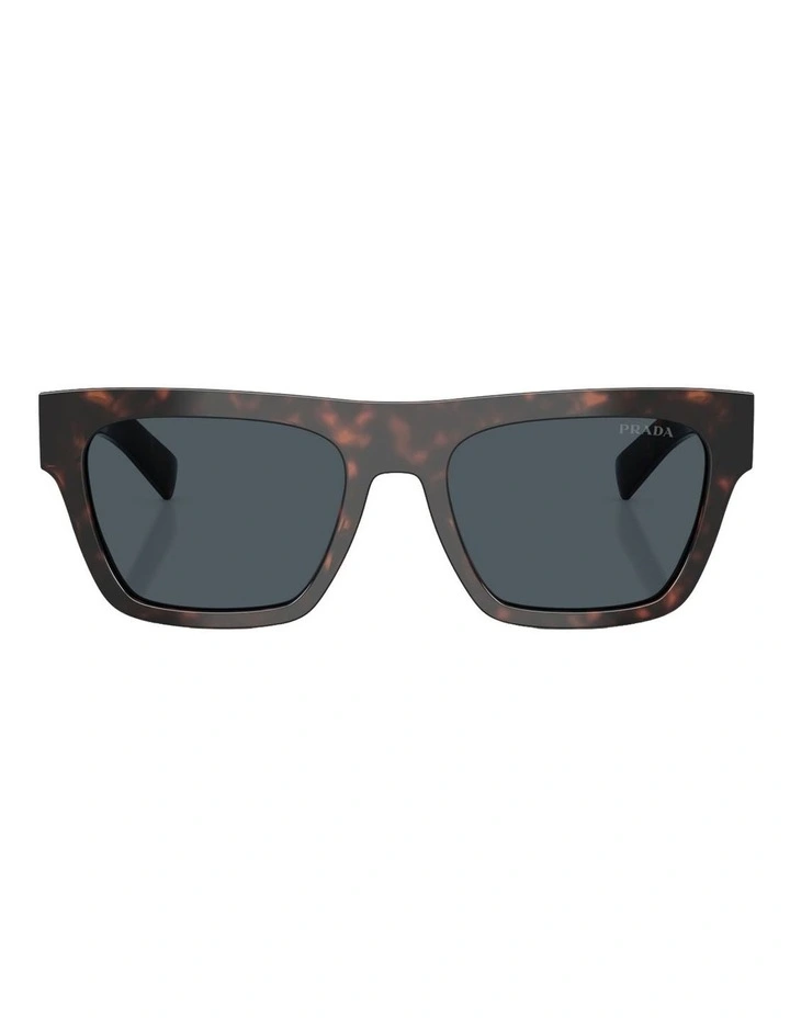 Acetate Sunglasses in Tortoise image 2