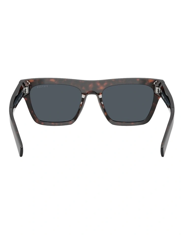 Acetate Sunglasses in Tortoise image 4