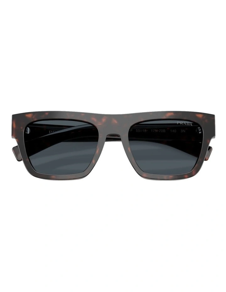 Acetate Sunglasses in Tortoise image 5