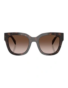 Acetate Sunglasses in Tortoise
