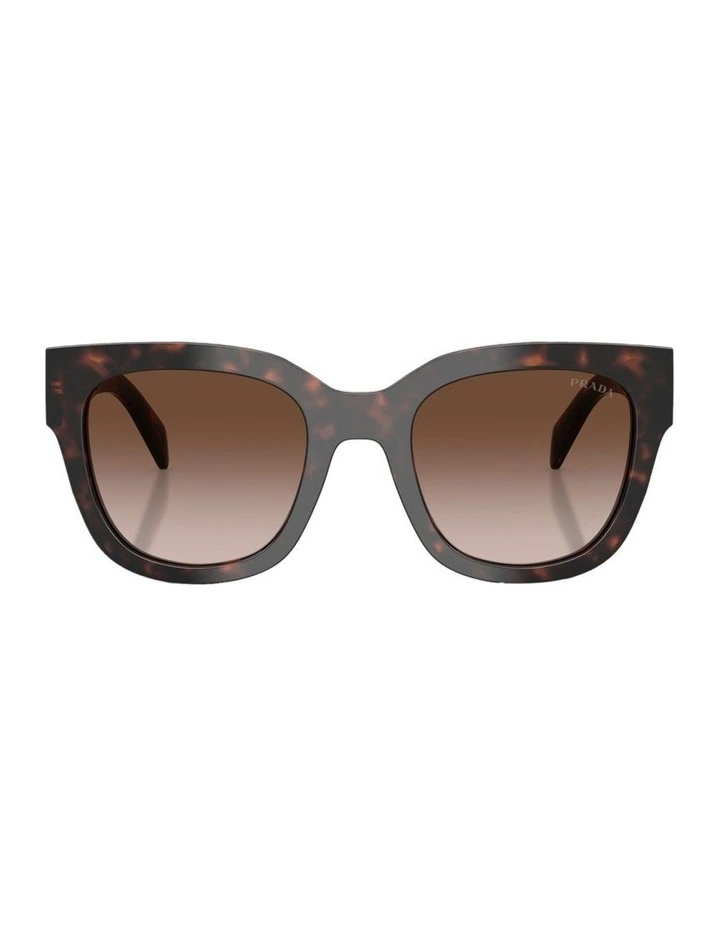 Acetate Sunglasses in Tortoise image 1