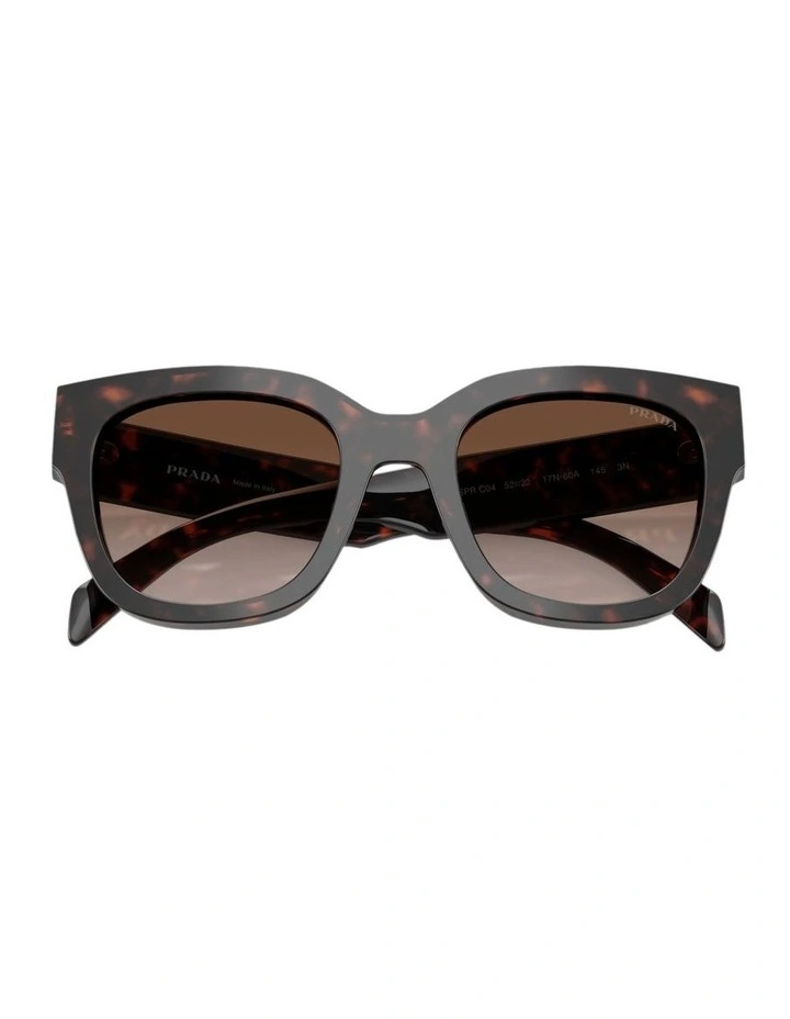 Acetate Sunglasses in Tortoise image 3