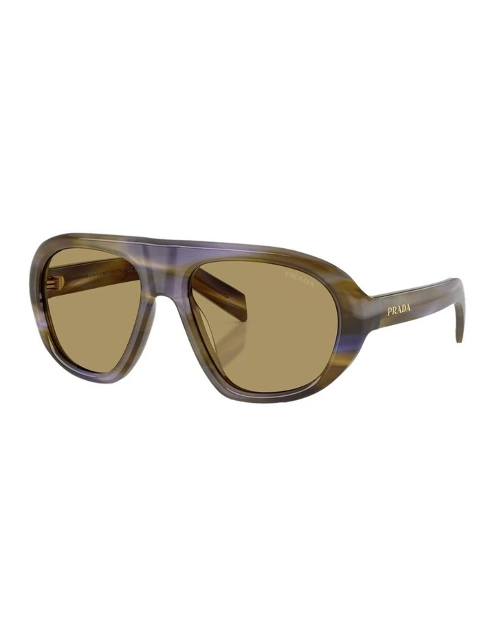 Acetate Sunglasses in Brown image 1