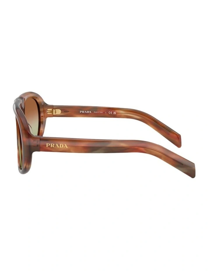 Acetate Sunglasses in Brown image 2