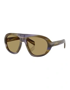 Acetate Sunglasses in Brown