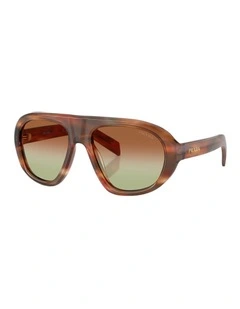 Acetate Sunglasses in Brown