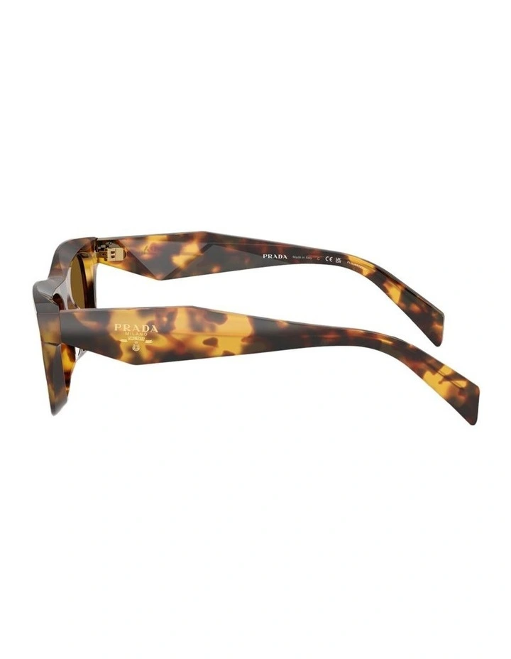 Acetate Polarised Sunglasses in Tortoise image 3