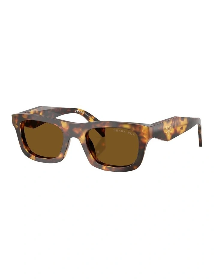 Acetate Polarised Sunglasses in Tortoise image 1