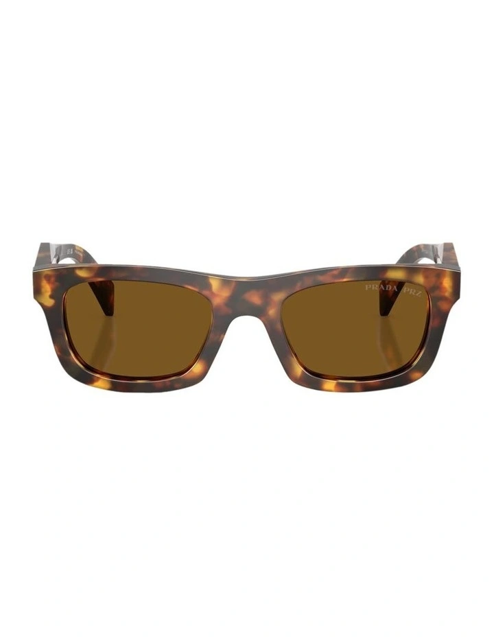 Acetate Polarised Sunglasses in Tortoise image 2