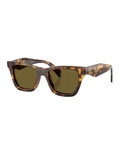 Acetate Sunglasses in Tortoise