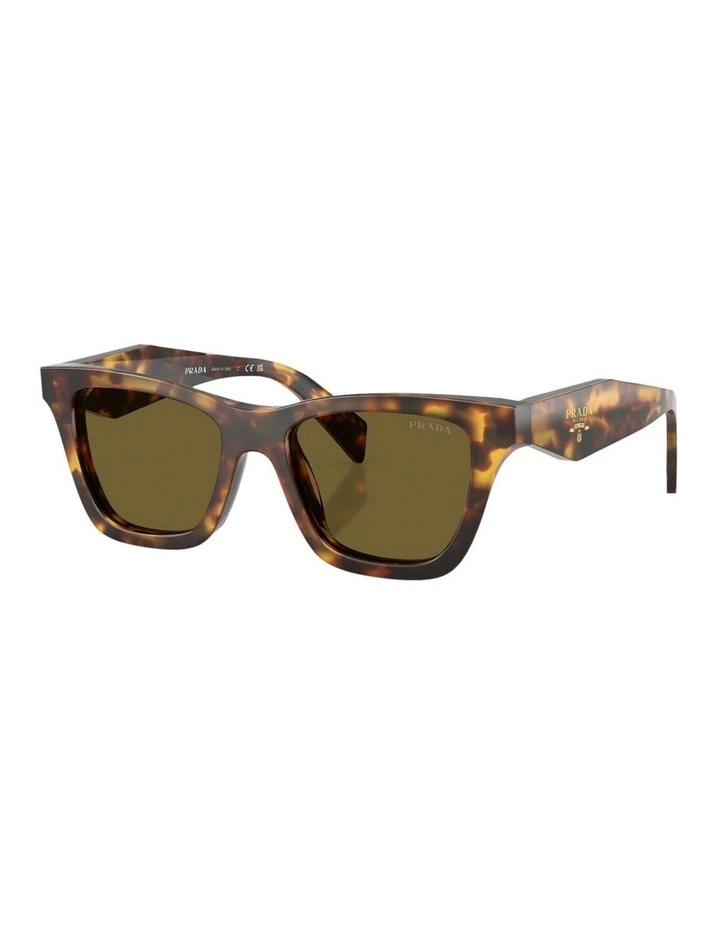 Acetate Sunglasses in Tortoise image 1