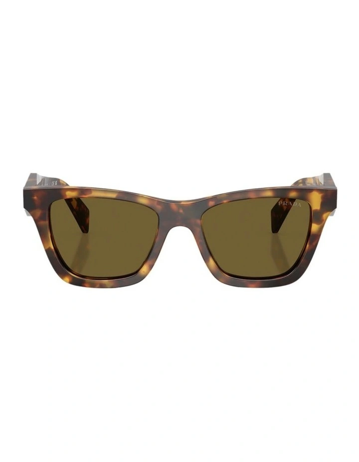 Acetate Sunglasses in Tortoise image 2