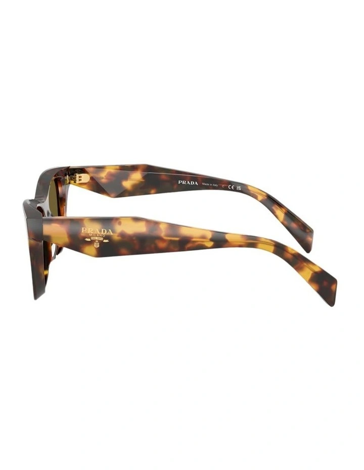 Acetate Sunglasses in Tortoise image 3