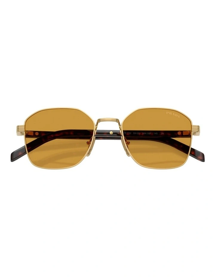 Steel Sunglasses in Gold image 5