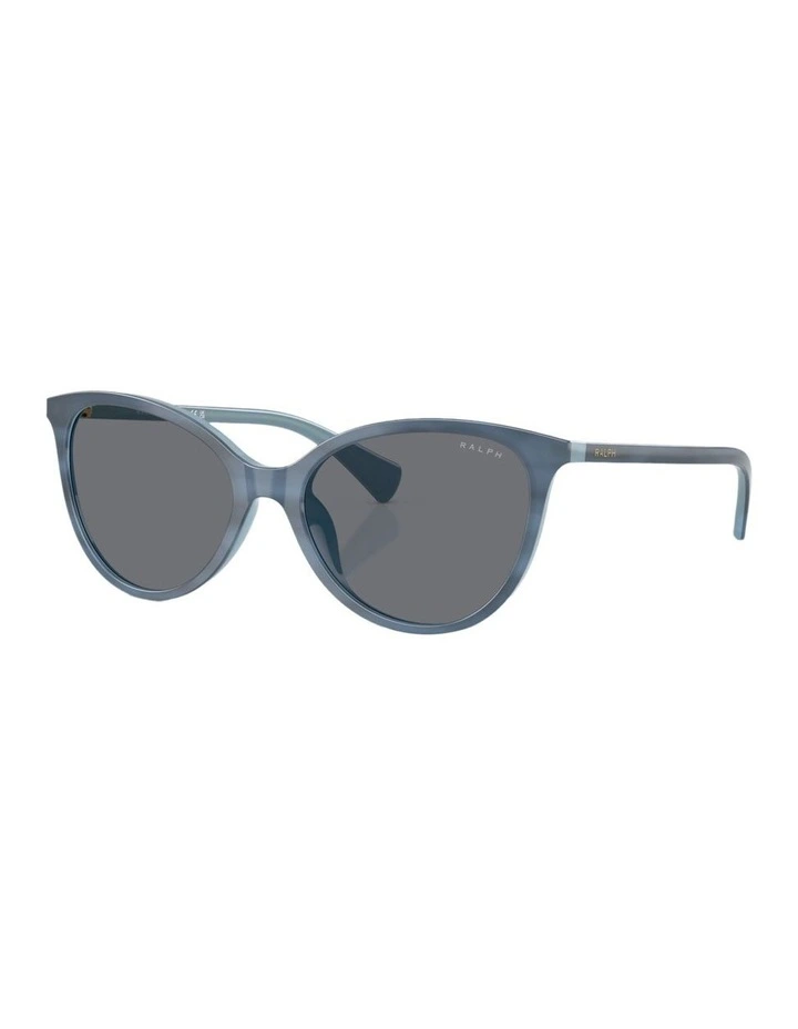 Acetate Sunglasses in Blue image 1