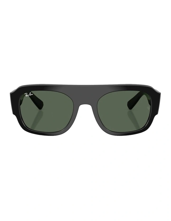 Molded Acetate Sunglasses in Black image 1